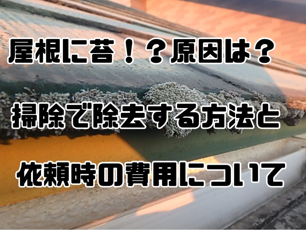 屋根に苔 原因は 掃除で除去する方法と依頼時の費用について 株式会社トーシンリフォーム 神奈川県 東京都の外壁塗装 屋根 工事 塗装 防水工事 雨漏り修理